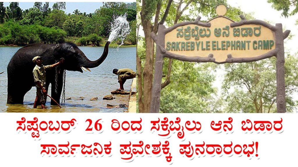 sakrebyle-elephant-camp-shivamogga-reopens-from-september-26