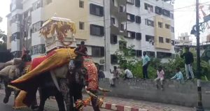 shivamogga-dasara-jamboo-savari-somanna-elephant
