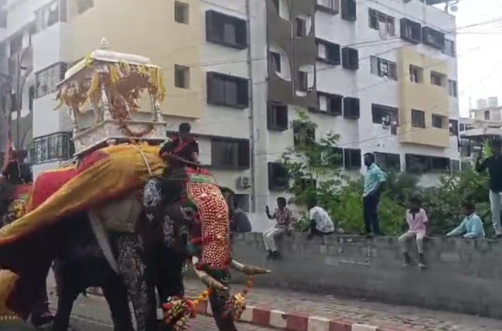 shivamogga-dasara-jamboo-savari-somanna-elephant